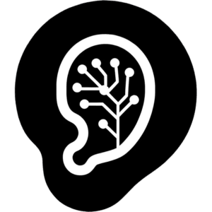 neuromodulation